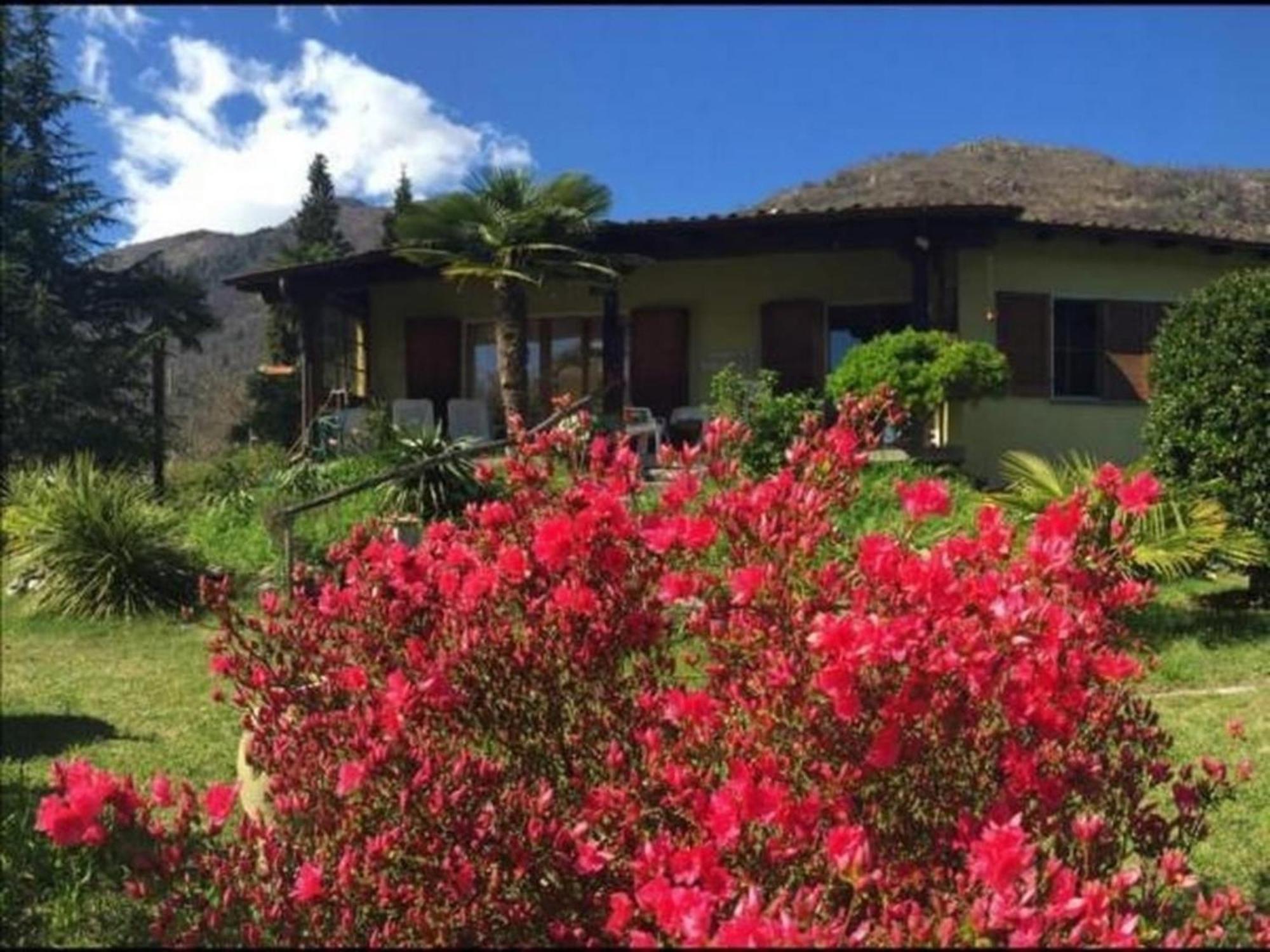 """Casa Elena -Tegna"" Die Ruheoase In Grossem Garten" Dış mekan fotoğraf