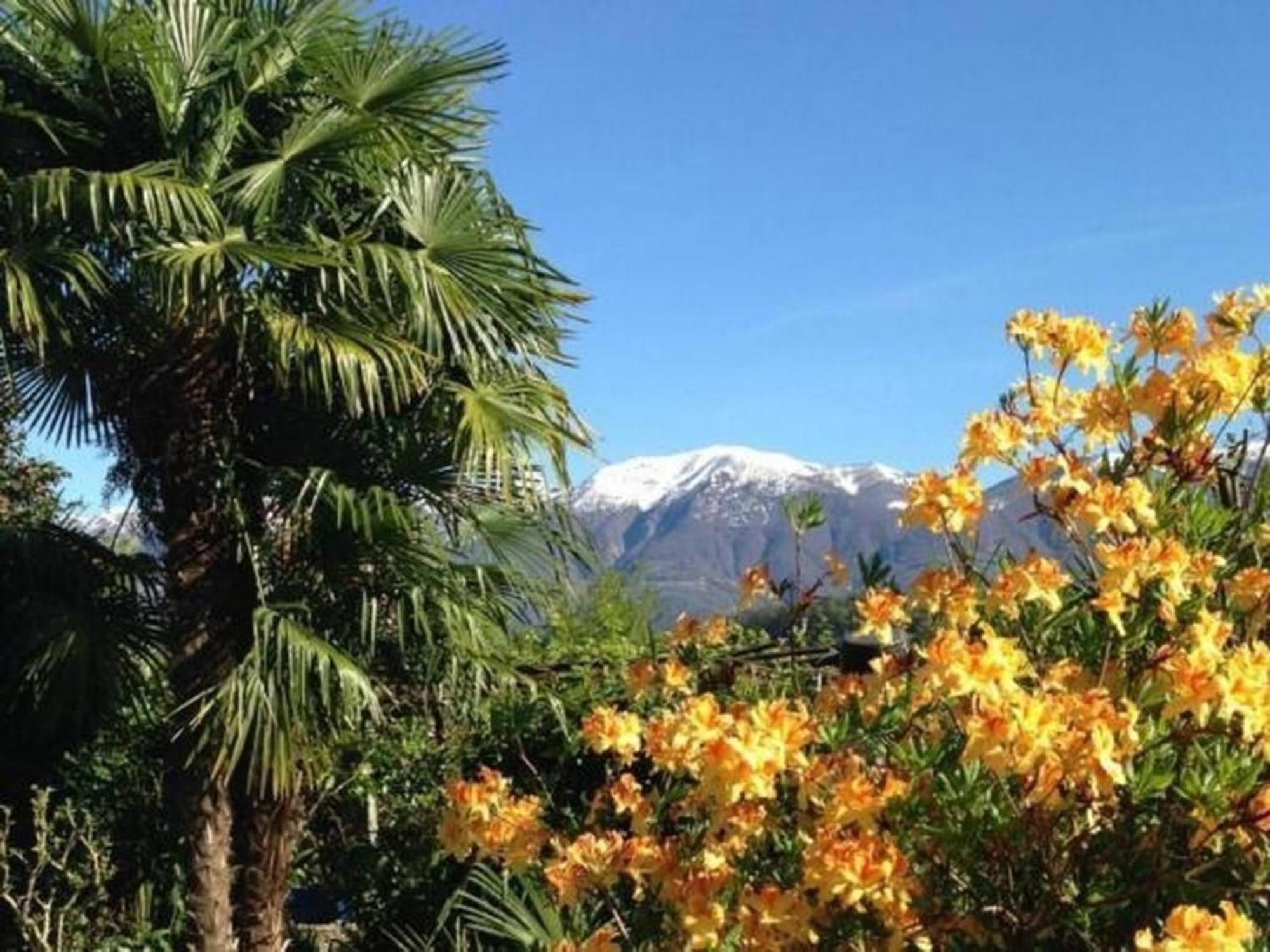 """Casa Elena -Tegna"" Die Ruheoase In Grossem Garten" Dış mekan fotoğraf